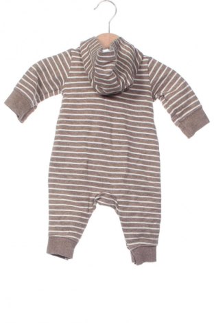 Kinder Overall Carter's, Größe 1-2m/ 50-56 cm, Farbe Mehrfarbig, Preis € 22,49