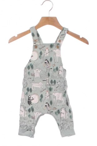 Kinder Overall Next, Größe 3-6m/ 62-68 cm, Farbe Grün, Preis € 18,99