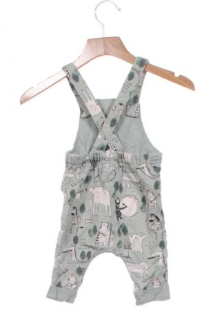 Kinder Overall Next, Größe 3-6m/ 62-68 cm, Farbe Grün, Preis € 18,99