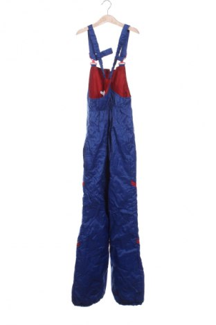 Kinderoverall für Wintersport, Größe 12-13y/ 158-164 cm, Farbe Blau, Preis 23,99 €