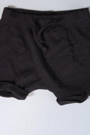 Kinder Shorts, Größe 1-2m/ 50-56 cm, Farbe Grau, Preis € 6,99