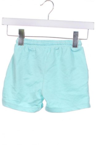 Kinder Shorts, Größe 5-6y/ 116-122 cm, Farbe Grün, Preis 6,99 €