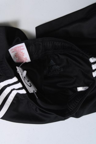 Kinder Shorts Adidas, Größe 5-6y/ 116-122 cm, Farbe Schwarz, Preis 31,49 €