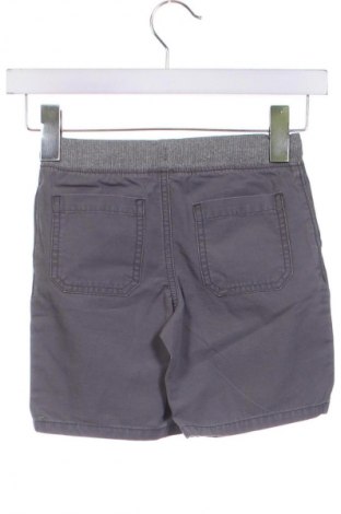 Kinder Shorts Carter's, Größe 3-4y/ 104-110 cm, Farbe Grau, Preis 9,99 €