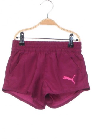 Kinder Shorts PUMA, Größe 6-7y/ 122-128 cm, Farbe Lila, Preis 16,47 €