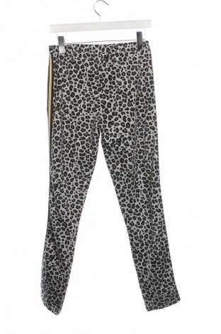 Kinderlegging Gatonegro, Größe 12-13y/ 158-164 cm, Farbe Mehrfarbig, Preis € 5,99