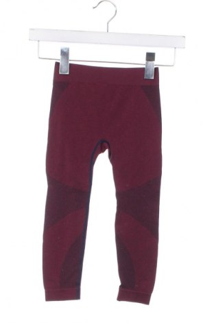 Dziecięce legginsy Lupilu, Rozmiar 2-3y/ 98-104 cm, Kolor Kolorowy, Cena 36,78 zł