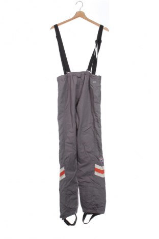 Pantaloni pentru copii pentru sporturi de iarnă Salewa, Mărime 12-13y/ 158-164 cm, Culoare Gri, Preț 192,99 Lei