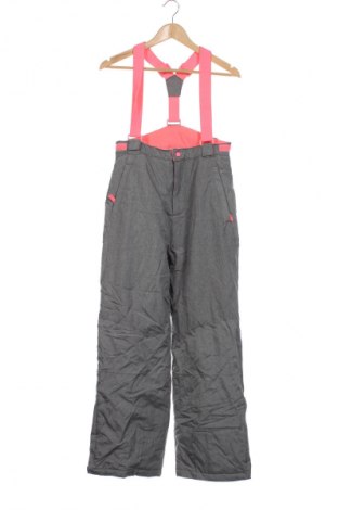 Pantaloni pentru copii pentru sporturi de iarnă Y.F.K., Mărime 15-18y/ 170-176 cm, Culoare Gri, Preț 43,99 Lei