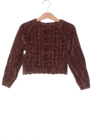 Dziecięcy sweter Tommy Bahama, Rozmiar 3-4y/ 104-110 cm, Kolor Brązowy, Cena 19,99 zł