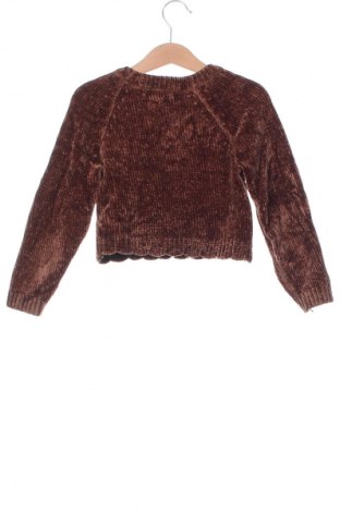 Dziecięcy sweter Tommy Bahama, Rozmiar 3-4y/ 104-110 cm, Kolor Brązowy, Cena 19,99 zł