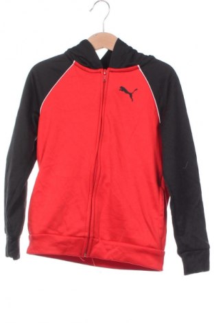 Gyerek sweatshirt PUMA, Méret 5-6y / 116-122 cm, Szín Sokszínű, Ár 10 499 Ft