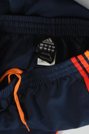 Herren Sporthose Adidas, Größe S, Farbe Blau, Preis € 25,00