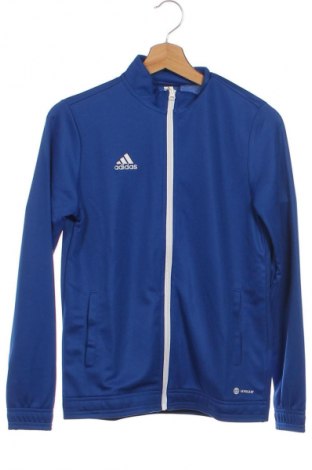 Detská športová horná časť  Adidas, Veľkosť 12-13y/ 158-164 cm, Farba Modrá, Cena  12,95 €