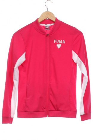 Παιδικό αθλητικό πάνω φόρμα PUMA, Μέγεθος 13-14y/ 164-168 εκ., Χρώμα Ρόζ , Τιμή 19,99 €