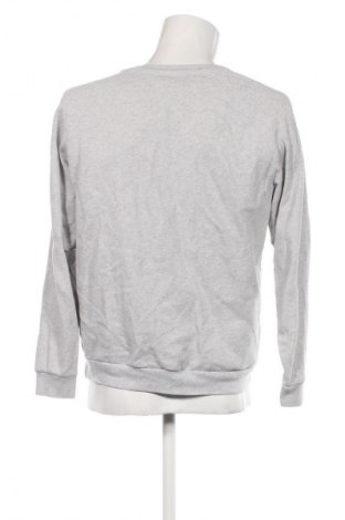 Herren Shirt Hollister, Größe S, Farbe Grau, Preis € 18,99