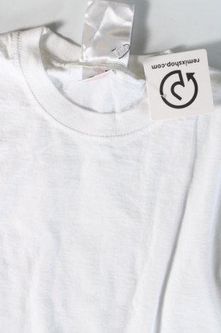 Ανδρικό t-shirt Fruit Of The Loom, Μέγεθος S, Χρώμα Λευκό, Τιμή 6,99 €