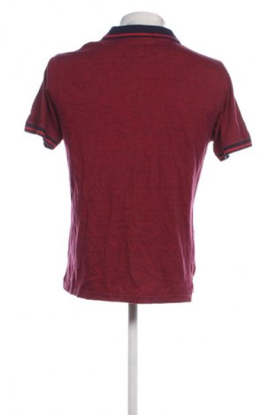 Herren T-Shirt Pierre Cardin, Größe M, Farbe Mehrfarbig, Preis 18,49 €