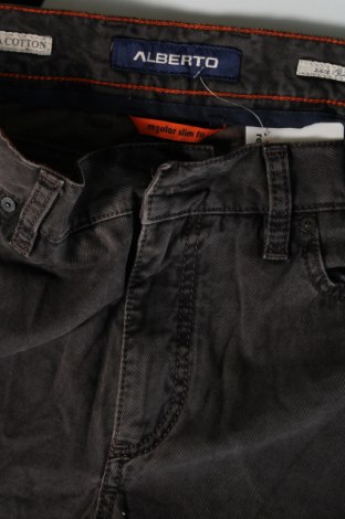 Herren Jeans Alberto, Größe L, Farbe Schwarz, Preis € 49,99