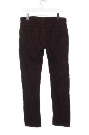 Herren Cordhose J.Crew, Größe S, Farbe Braun, Preis 13,99 €