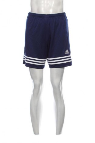 Herren Shorts Adidas, Größe S, Farbe Blau, Preis 36,99 €