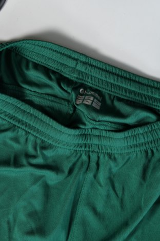 Herren Shorts Hummel, Größe XS, Farbe Grün, Preis 23,99 €