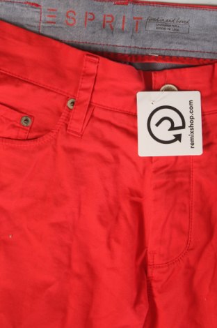 Herrenhose Esprit, Größe S, Farbe Rot, Preis 17,49 €