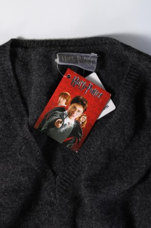 Pánský svetr  Harry Potter, Velikost XXL, Barva Šedá, Cena  1 039,00 Kč