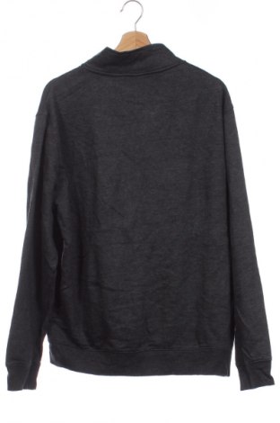 Herren Sweatshirt Watson's, Größe XL, Farbe Grau, Preis € 13,49