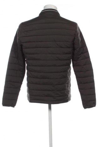 Herrenjacke Tchibo, Größe M, Farbe Grün, Preis 17,49 €