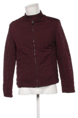 Herrenjacke Zara, Größe L, Farbe Rot, Preis 14,99 €