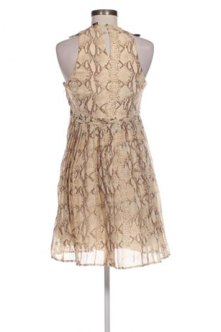 Kleid H&M, Größe S, Farbe Beige, Preis € 9,49