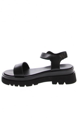 Sandalen Flavia Passini, Größe 40, Farbe Schwarz, Preis € 23,99