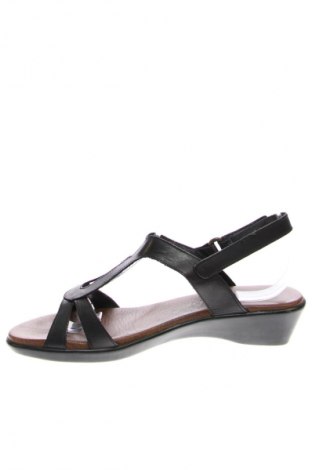 Sandalen Paula Urban, Größe 40, Farbe Schwarz, Preis € 36,99