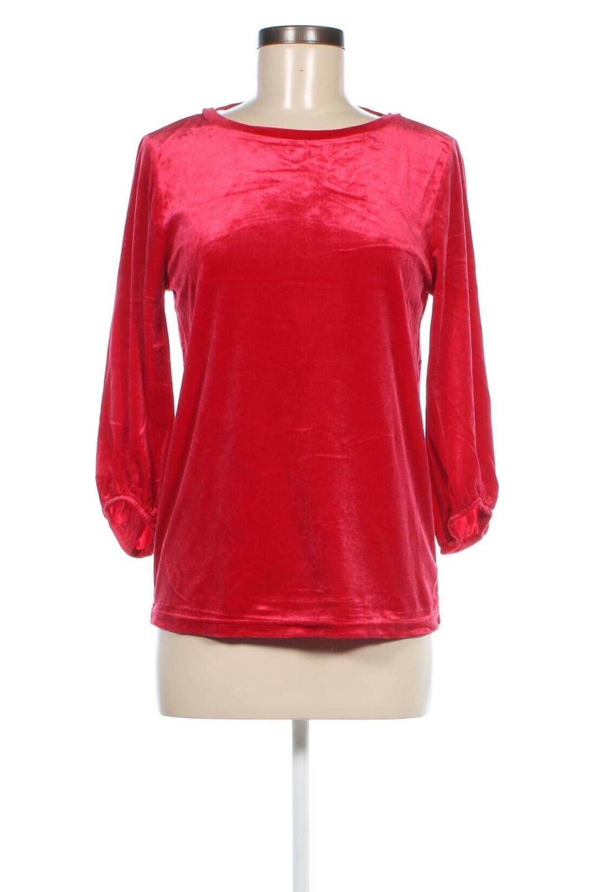 Damen Shirt Hampton Republic, Größe S, Farbe Rot, Preis € 9,99