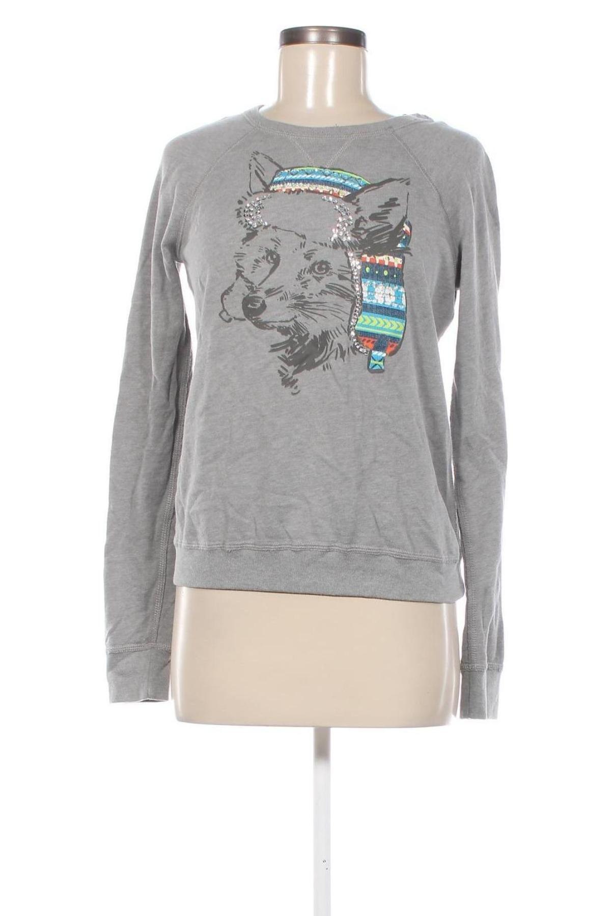 Damen Shirt Hollister, Größe S, Farbe Grau, Preis € 7,49