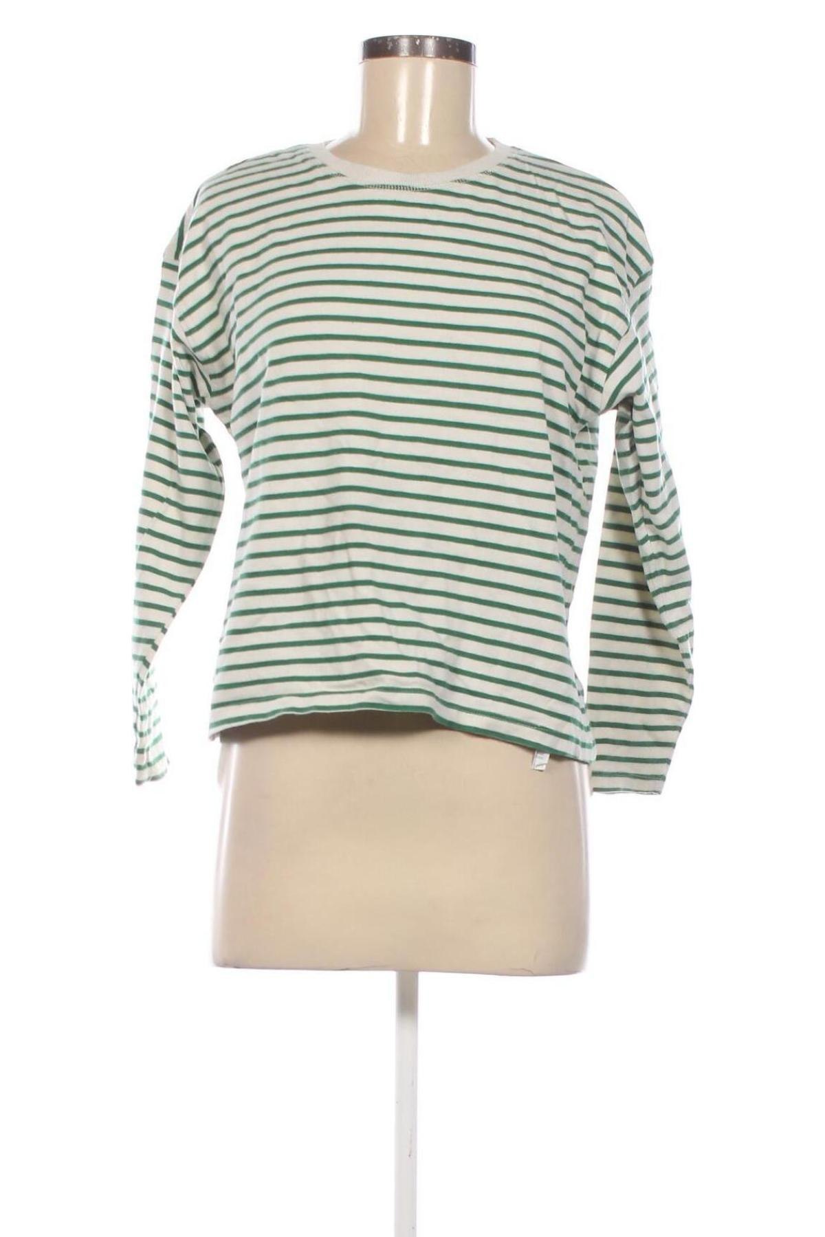 Damen Shirt Stradivarius, Größe S, Farbe Mehrfarbig, Preis € 5,99