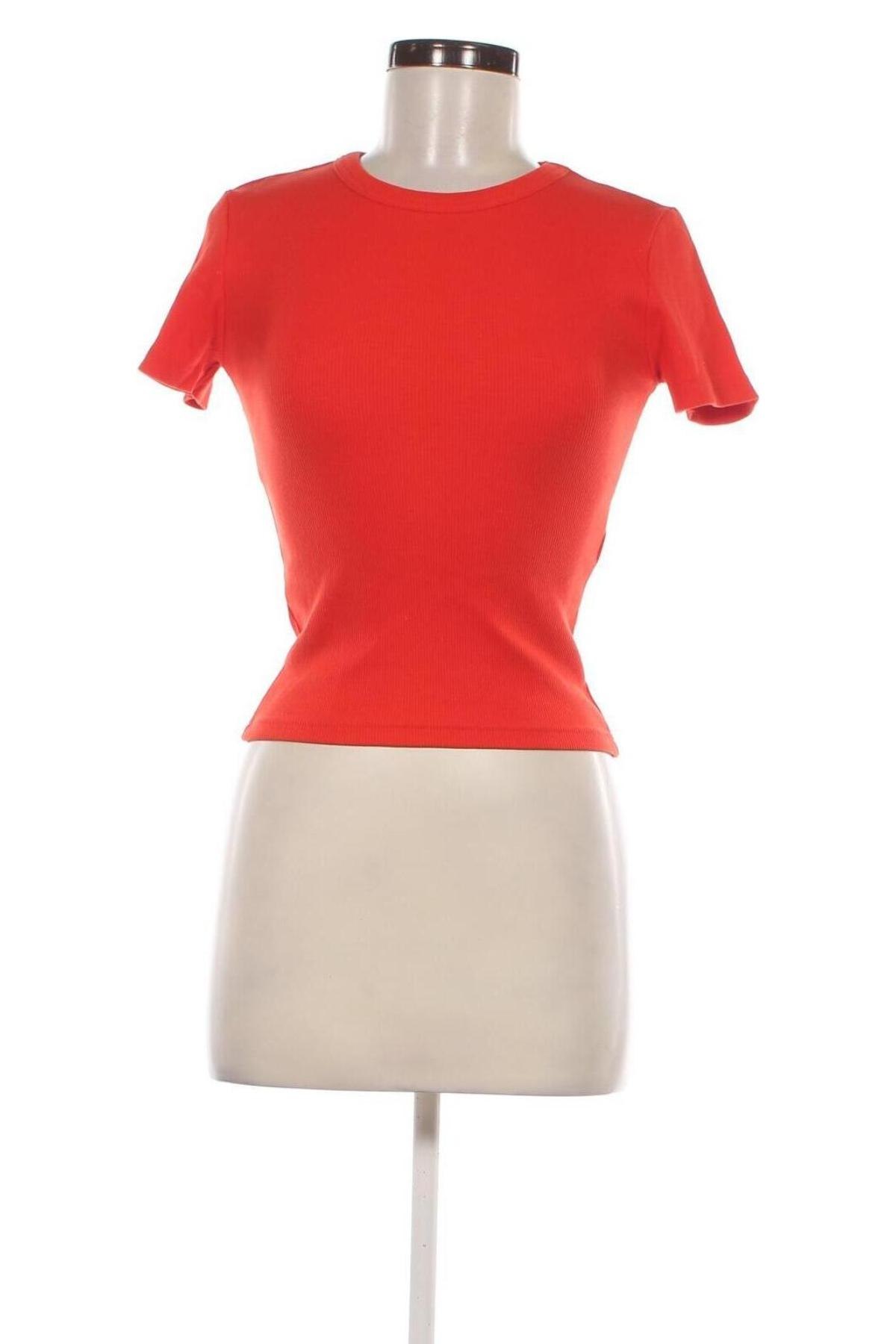 Damen Shirt Zara, Größe S, Farbe Rot, Preis 10,23 €