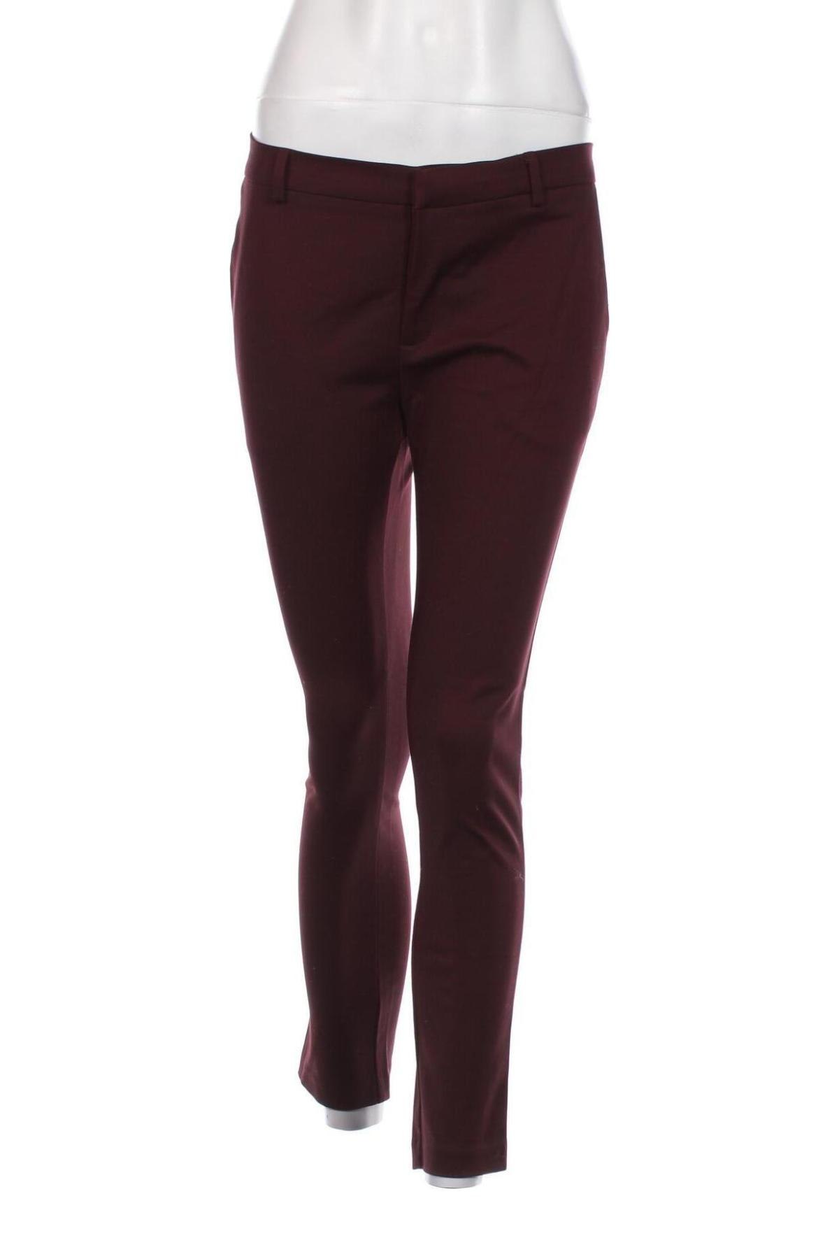 Damenhose Neo Noir, Größe S, Farbe Rot, Preis 11,99 €