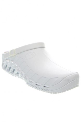 Japonki Scholl, Rozmiar 41, Kolor Biały, Cena 250,99 zł