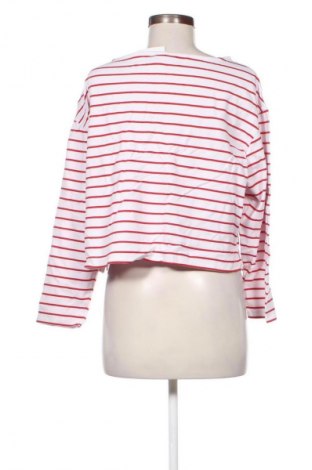 Női blúz Anko, Méret XL, Szín Sokszínű, Ár 3 289 Ft