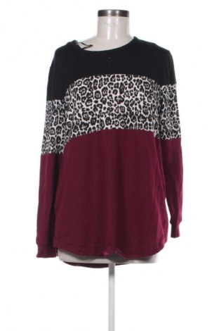 Damen Shirt Caroline Morgan, Größe M, Farbe Mehrfarbig, Preis € 11,99