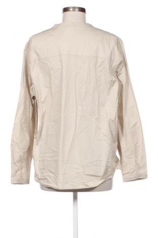 Γυναικεία μπλούζα Choice, Μέγεθος XL, Χρώμα  Μπέζ, Τιμή 16,00 €