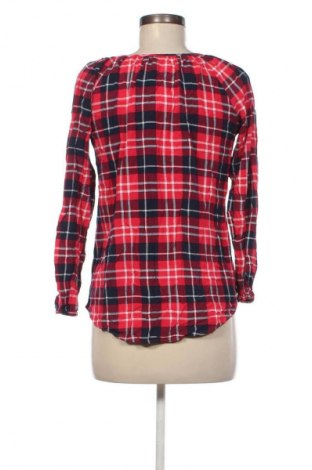 Damen Shirt Colloseum, Größe M, Farbe Mehrfarbig, Preis 5,99 €