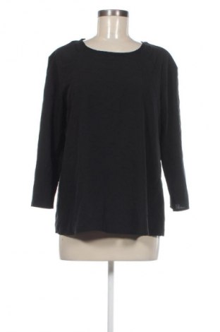 Γυναικεία μπλούζα Emery rose, Μέγεθος M, Χρώμα Μαύρο, Τιμή 6,99 €