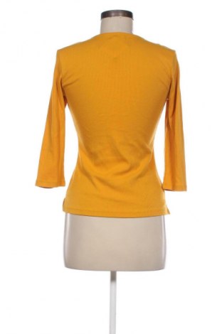 Γυναικεία μπλούζα Fisherfield, Μέγεθος S, Χρώμα Κίτρινο, Τιμή 6,99 €
