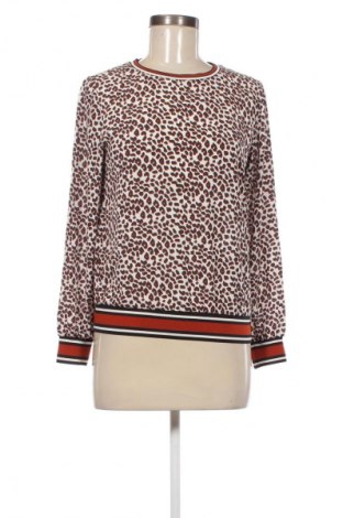Γυναικεία μπλούζα Groggy, Μέγεθος XS, Χρώμα Πολύχρωμο, Τιμή 6,99 €