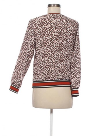 Γυναικεία μπλούζα Groggy, Μέγεθος XS, Χρώμα Πολύχρωμο, Τιμή 6,99 €