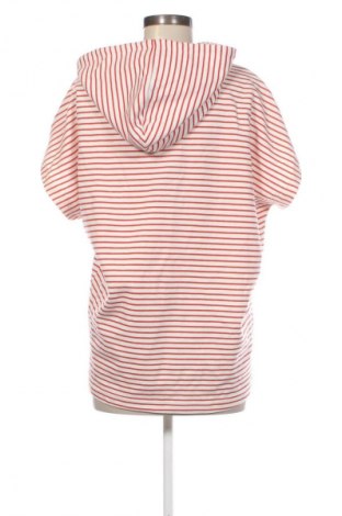 Γυναικεία μπλούζα H.I.S, Μέγεθος M, Χρώμα Πολύχρωμο, Τιμή 18,99 €