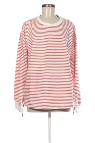 Damen Shirt H.I.S, Größe XL, Farbe Mehrfarbig, Preis € 20,99